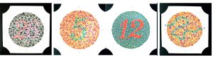 Ishihara Test Book - Image 2