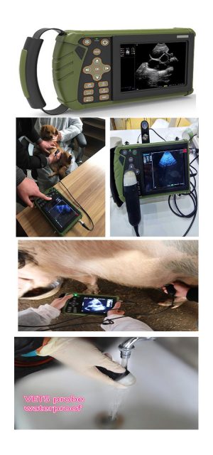 Black & White Handheld Veterinary Ultrasound Machine VET 5