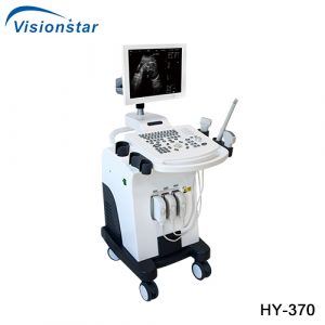 Trolley Black & White Ultrasound Machine HY 370