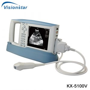 Veterinary Ultrasound Machine KX 5100V