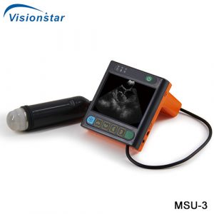 Veterinary B Mode Ultrasound Machine