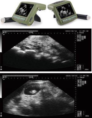Veterinary Ultrasound Machine MSU 1Plus