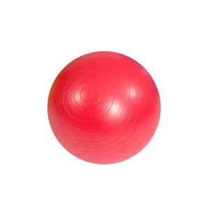 Gym Ball Rehabilitation Mambo MSD ABS with Pump Red