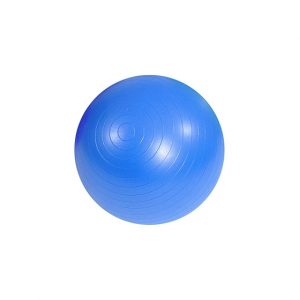 Gym Ball Rehabilitation Mambo MSD ABS with Pump Blue