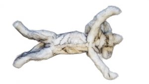 Canine Positioning Manikin - Image 2