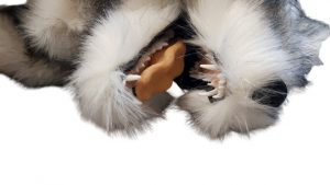 Canine Positioning Manikin - Image 3
