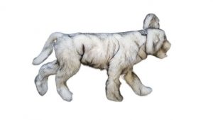 Canine Positioning Manikin