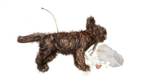 Advanced Airway CPR Dog Manikin Endotracheal Placement Bandaging - Image 3