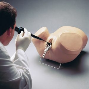 Hysteroscopy Simulator