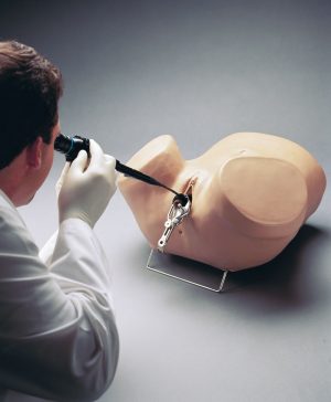 Hysteroscopy Simulator