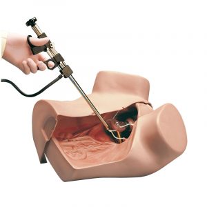 Gynaecologic Simulator