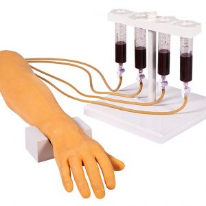 Training Arm For Intravenous Injection And Infusion