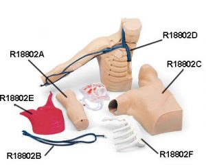 Peter PICC Line - Image 4