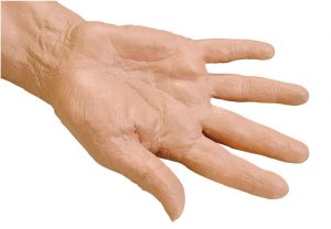 Geriatric IV Training Arm - Image 3
