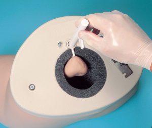 Prostate Examination Simulator - Image 2
