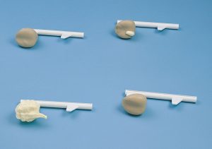 Prostate Examination Simulator - Image 3