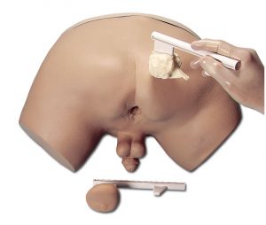 Prostate Examination Simulator