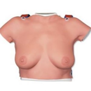 Breast Cancer Palpation Model SM01472