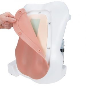 Epidural and Spinal Injection Trainer - Image 3