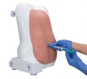 Epidural and Spinal Injection Trainer