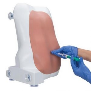 Epidural and Spinal Injection Trainer