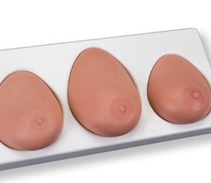 Breast Self Examination Model Three Single Breasts On Base