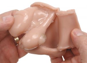 Testicle Self Examination Model SM01483
