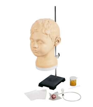 Diagnostic And Procedural Ear Trainer - Image 2