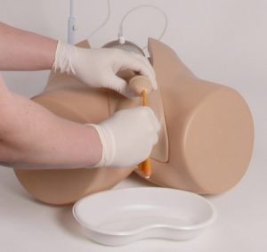 Bladder Catheterization Simulator Male - Image 2