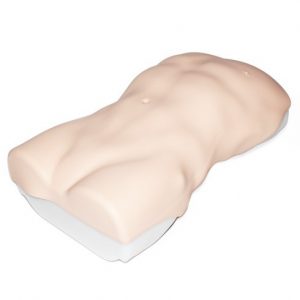 Abdominal Examination Trainer - Image 2