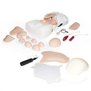 Abdominal Examination Trainer - Image 3