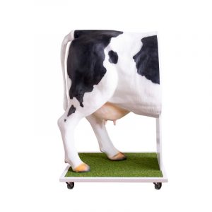 Emma Cow  Advanced Simulator for Artificial Insemination - Image 2