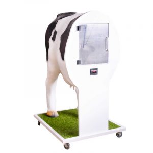 Emma Cow  Advanced Simulator for Artificial Insemination - Image 3