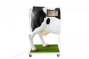 Emma Cow  Advanced Simulator for Artificial Insemination - Image 5