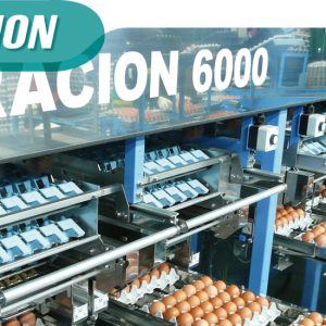 Egg Grading machine : ORACION6000
