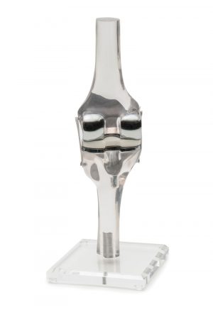Knee Model With Endoprosthesis - Image 2