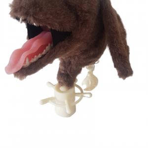 Canine Intubation Trainer