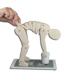 Demonstration Figure Correct and Wrong Lifting