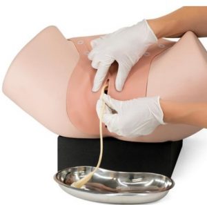 Gynecologic Skills Trainer - Image 3