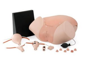 Gynecologic Skills Trainer