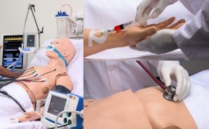 Advanced Multipurpose Patient Simulator - Image 3