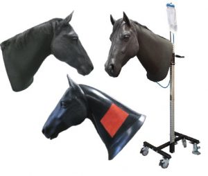 Equine Neck Venipuncture and Intramuscular Injection