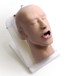 Advanced Oral Health Simulator With Pathologies