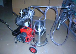 Gasoline / Oil Engine Motor Portable Milking Machine for Cows , Sheep and Goats