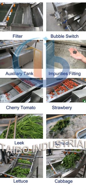Vegetable Fruit Washing Machine(Medium Capacity) QX-5-800