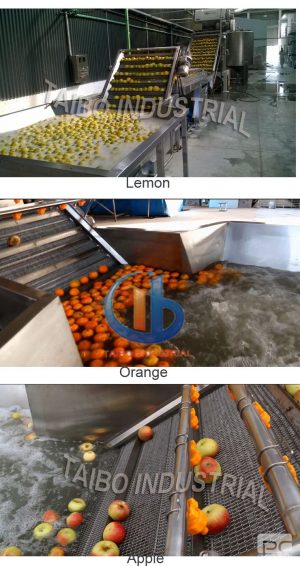 Fruit Washing Waxing Drying Grading Machine