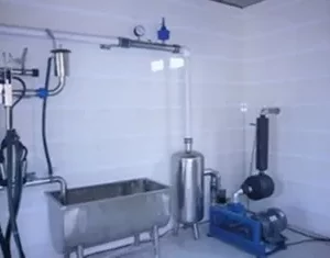 Pipeline Cow / Goat Milking Parlor With A Milk Transport Conduit