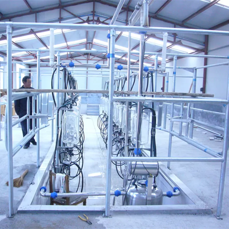 Automatic 4KW Herringbone Milking Parlor for Milking Cow and Milking Goat
