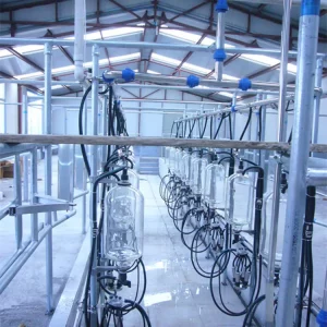 Automatic Glass Milk Measure Herringbone Milking Parlor System