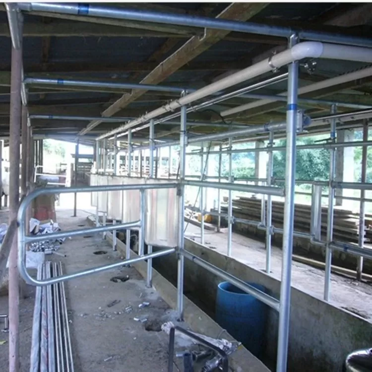 Waikato Milk Recorder Fish - bone Herringbone Parlor for Milking Cow / Goat